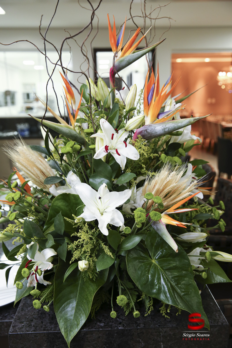 fotografia-fotografia-fotos-cuiaba-mt-sergio-soares-mato-grosso-aniversario-60-anos-antonio