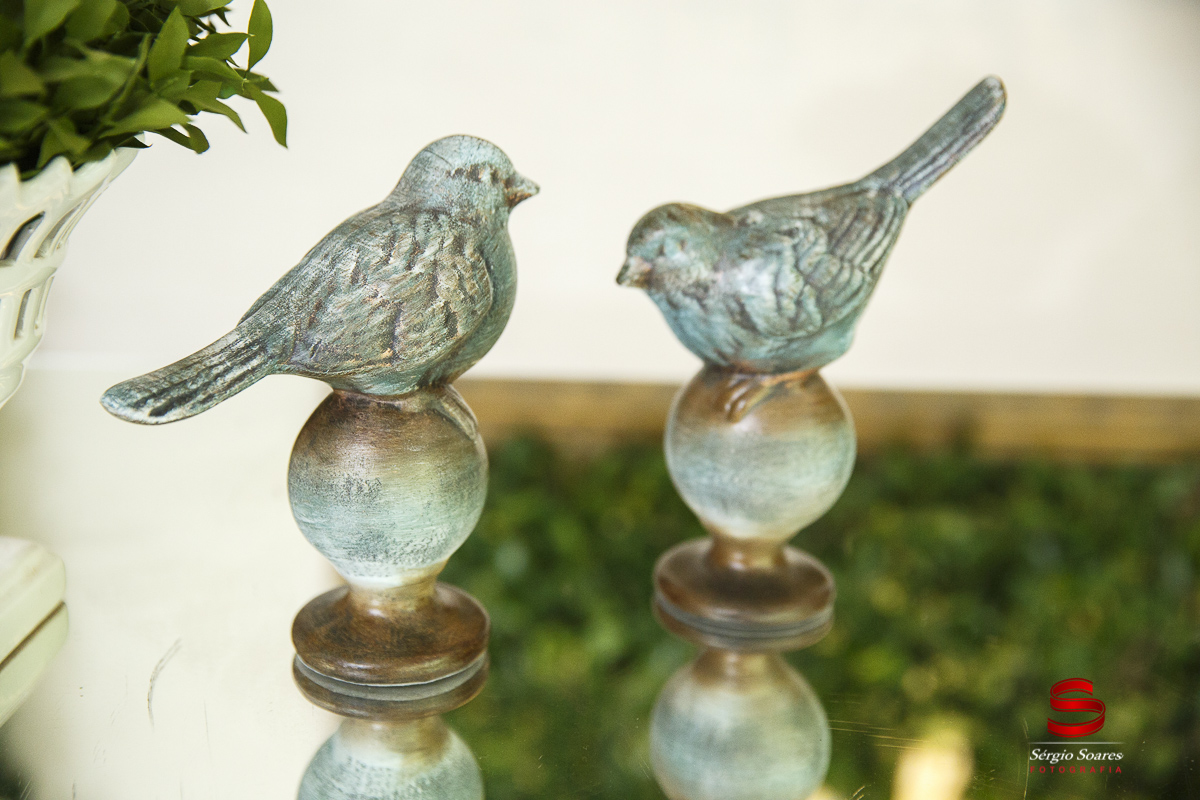 fotografia-fotos-fotografo-cuiaba-sergio-soares-mt-mato-grosso-civil-ricardo-gabriela