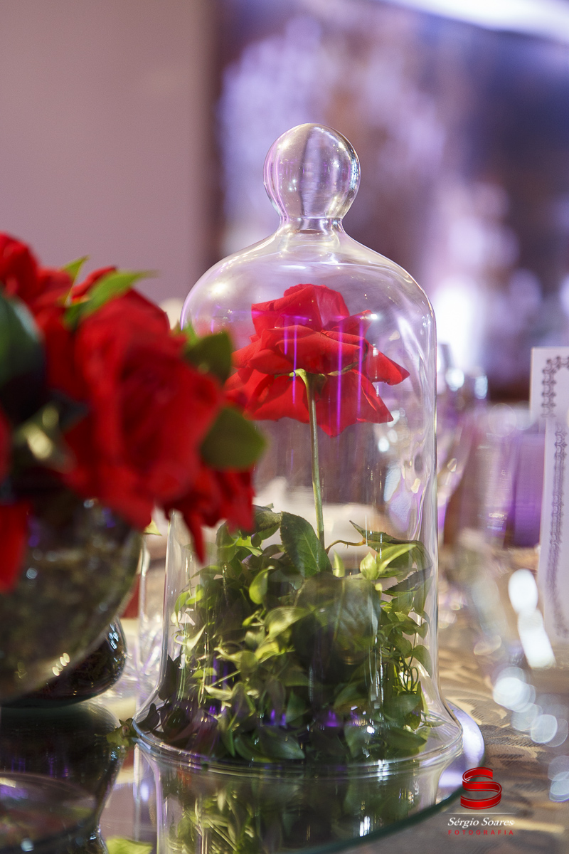 fotografo-fotografia-fotos-cuiaba-sergio-soares-mt-mato-grosso-brasil-15-anos-debutante-xv-mariana-bela=fera