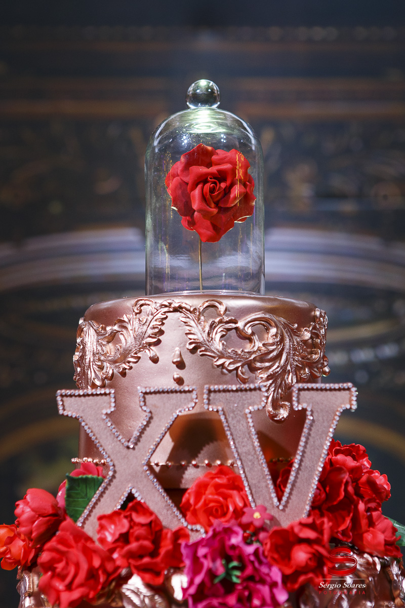 fotografo-fotografia-fotos-cuiaba-sergio-soares-mt-mato-grosso-brasil-15-anos-debutante-xv-mariana-bela=fera