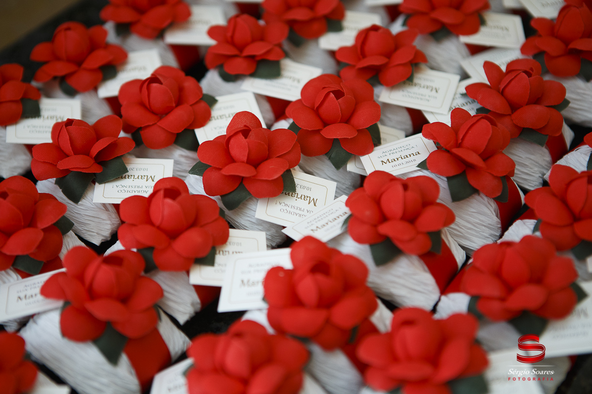 fotografo-fotografia-fotos-cuiaba-sergio-soares-mt-mato-grosso-brasil-15-anos-debutante-xv-mariana-bela=fera
