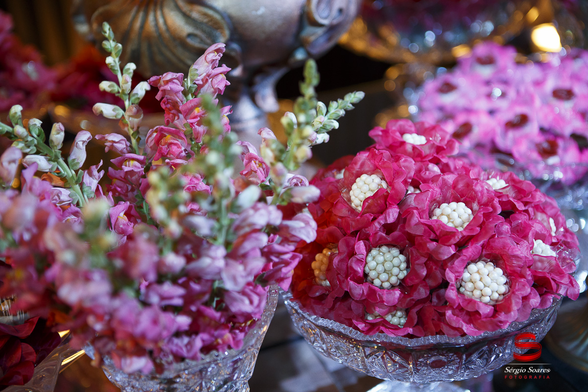 fotografo-fotografia-fotos-cuiaba-sergio-soares-mt-mato-grosso-brasil-aniversario-debutante-15-anos-milena-stelata