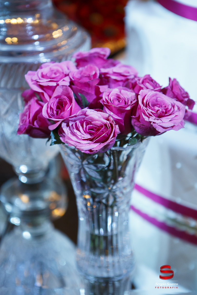 fotografo-fotografia-fotos-cuiaba-sergio-soares-mt-mato-grosso-brasil-aniversario-debutante-15-anos-milena-stelata