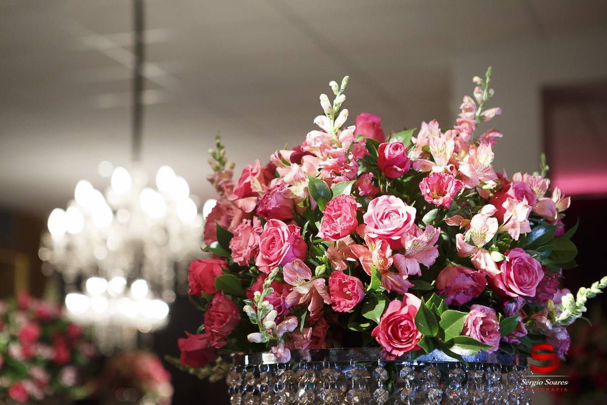 fotografo-fotografia-fotos-cuiaba-sergio-soares-mt-mato-grosso-brasil-aniversario-debutante-15-anos-milena-stelata