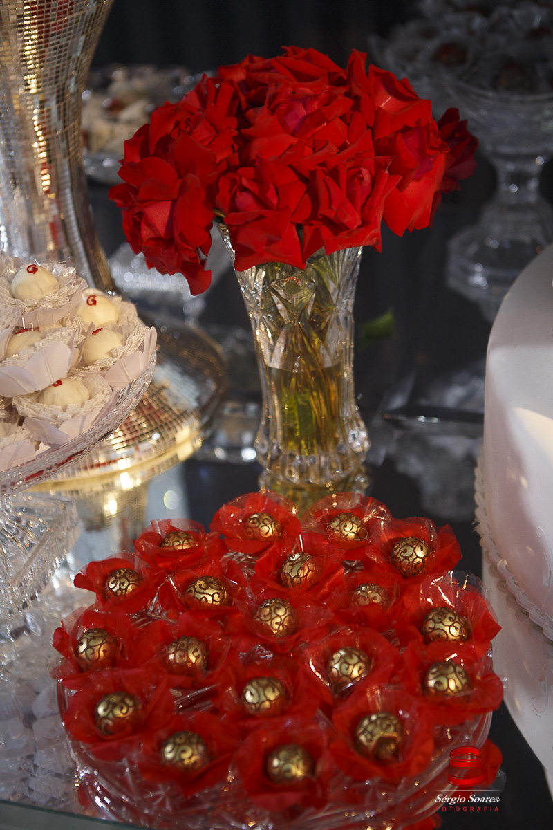 fotografia-fotografo-fotos-cuiaba-mt-mato-grosso-aniversario-15-anos-gabrieli-sonia-bittencourt