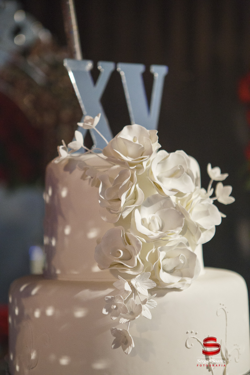 fotografia-fotografo-fotos-cuiaba-mt-mato-grosso-aniversario-15-anos-gabrieli-sonia-bittencourt