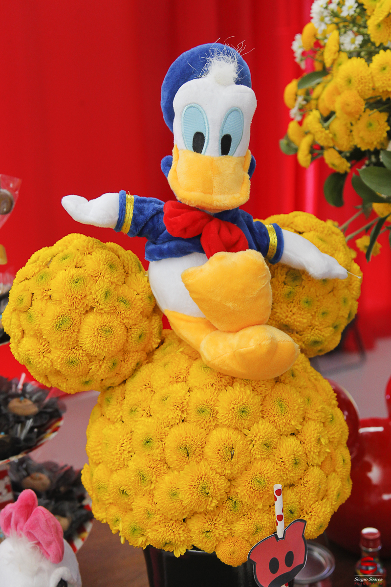 fotografia-fotografo-sergio-soares-aniversario-benjamim