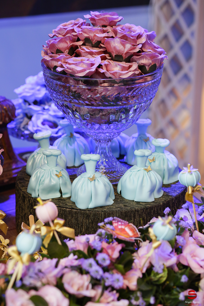 fotografo-fotografia-cuiaba-sergio-soares-aniversario-livia