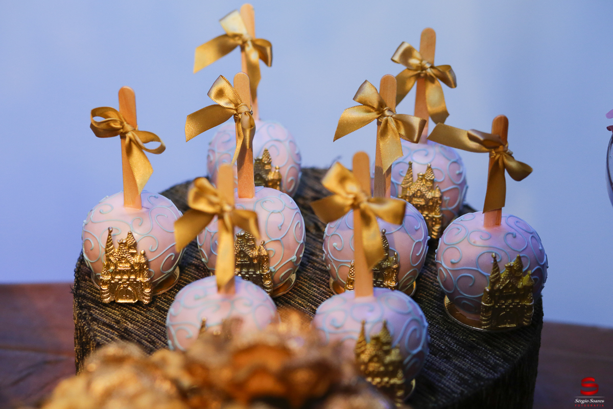 fotografo-fotografia-cuiaba-sergio-soares-aniversario-livia