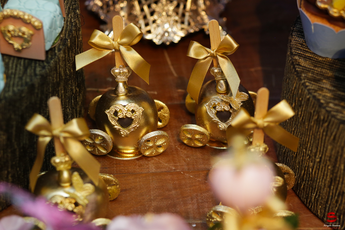 fotografo-fotografia-cuiaba-sergio-soares-aniversario-livia