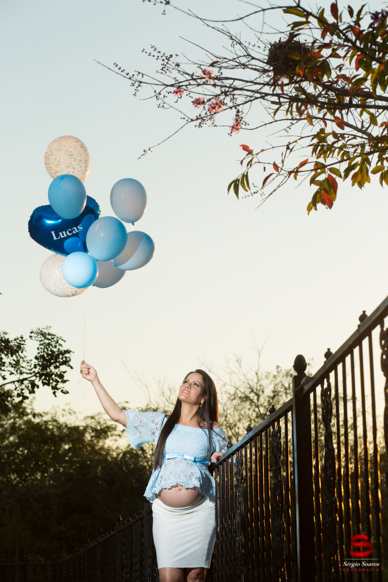 book-fabiana-gestante-sergio-soares-fotografia-foto-fotografo