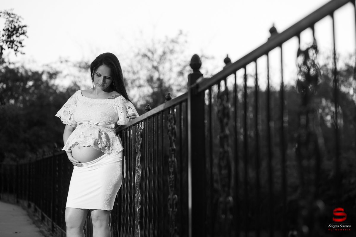 book-fabiana-gestante-sergio-soares-fotografia-foto-fotografo