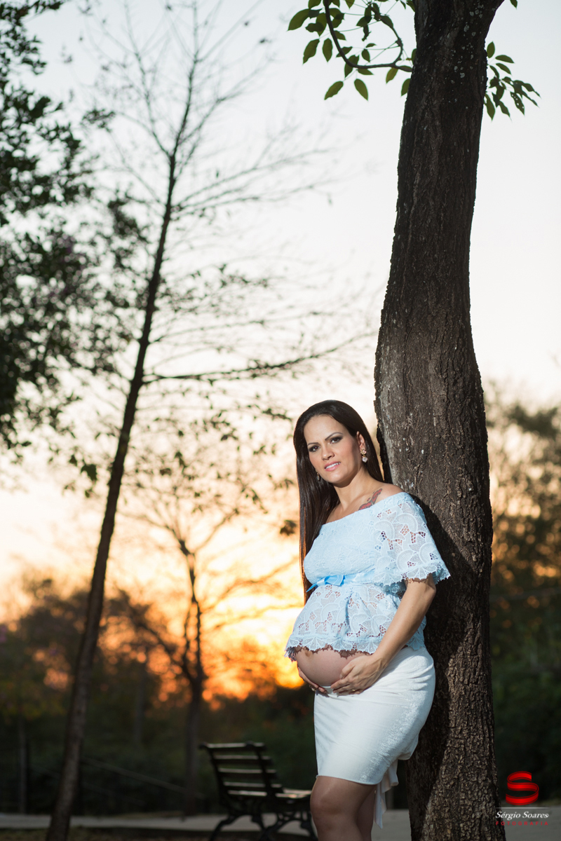 book-fabiana-gestante-sergio-soares-fotografia-foto-fotografo