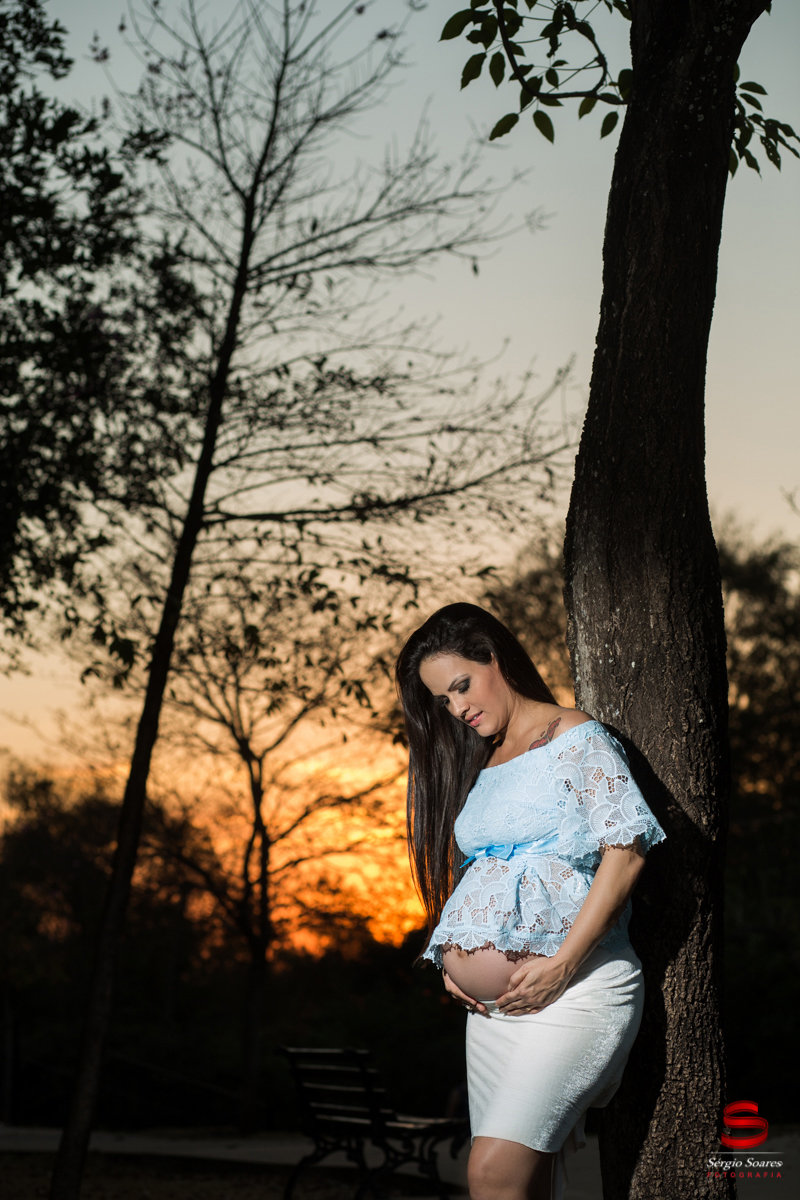 book-fabiana-gestante-sergio-soares-fotografia-foto-fotografo