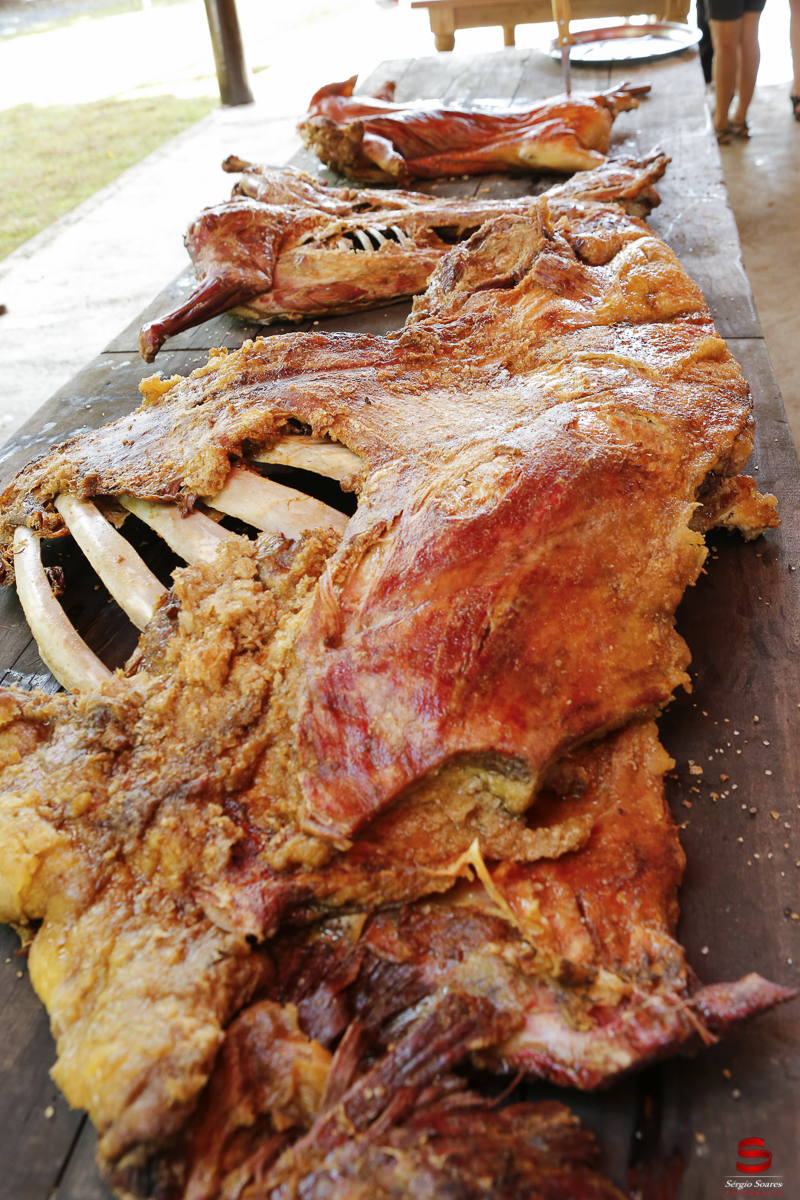 fotografo-fotografia-cuiaba-sergio-soares-aniversario-blairo-maggi