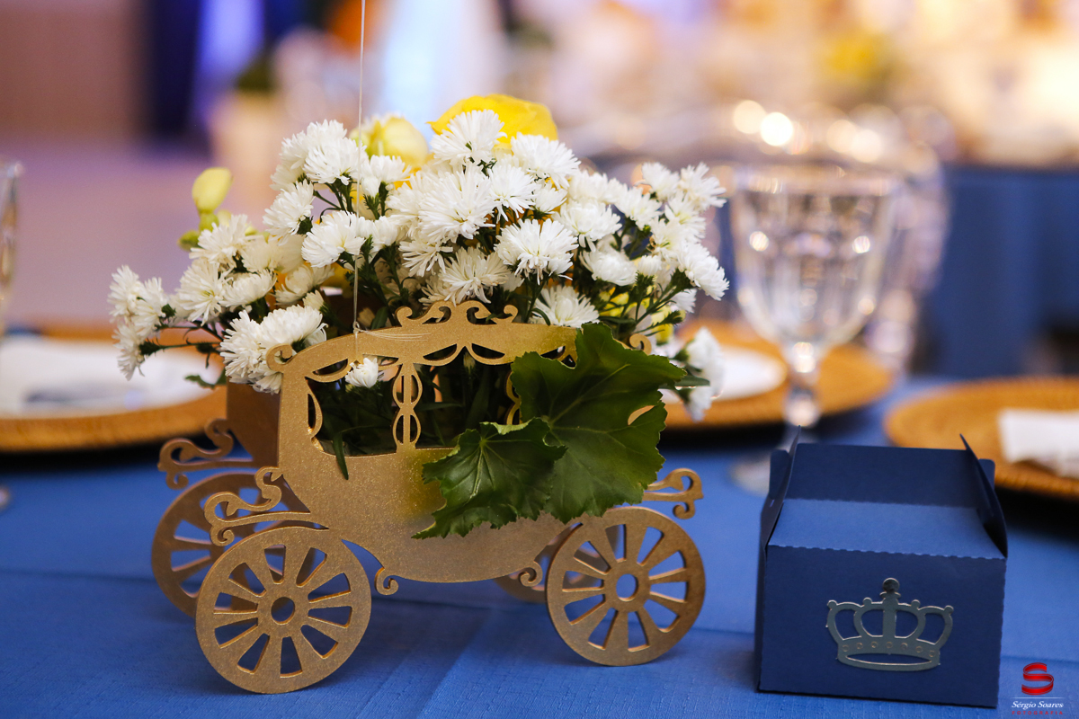 fotografia-fotografo-sergio-soares-cuiaba-aniversario-gabriel