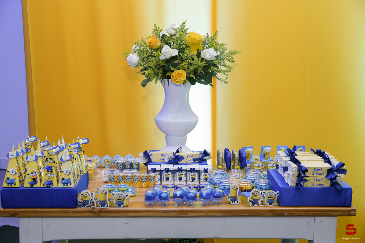 fotografo-fotografia-sergio-soares-cuiaba-aniversario-davi