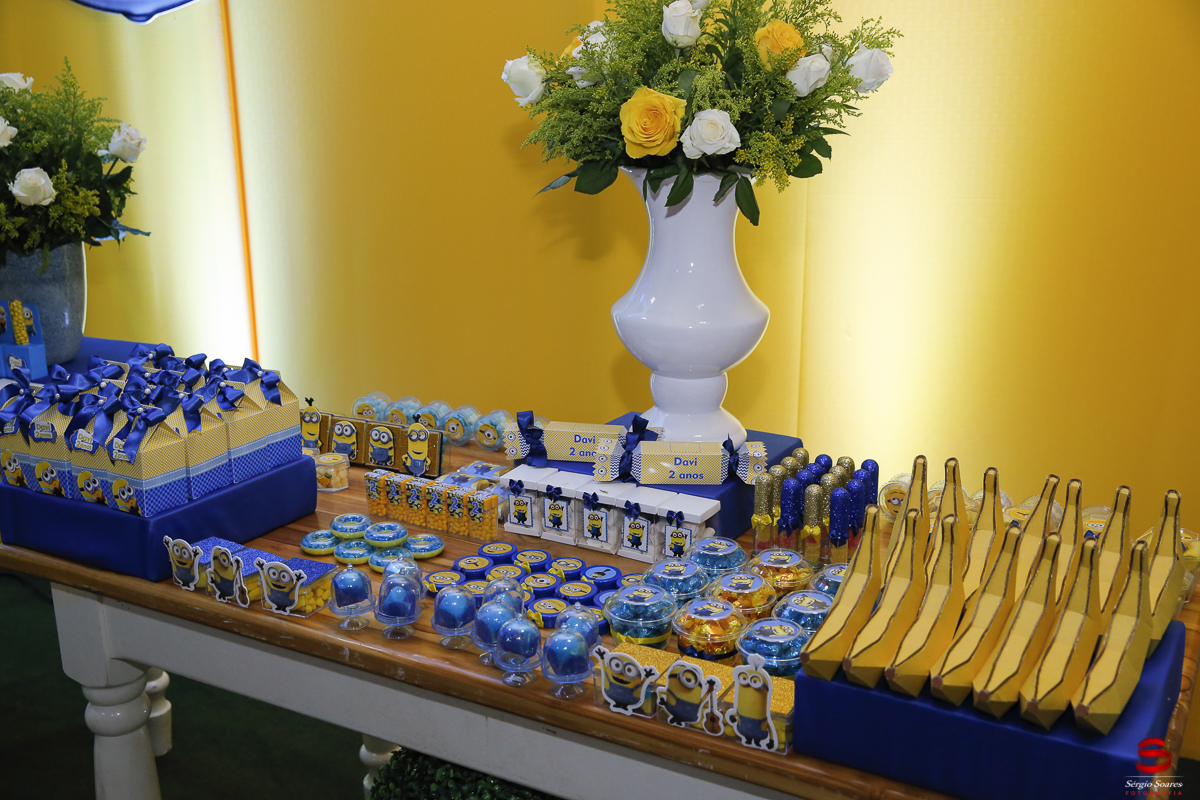 fotografo-fotografia-sergio-soares-cuiaba-aniversario-davi