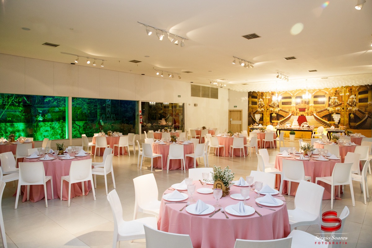 fotografia-fotos-fotografo-sergio-soares-aniversario-alphakids-aniver-valentina