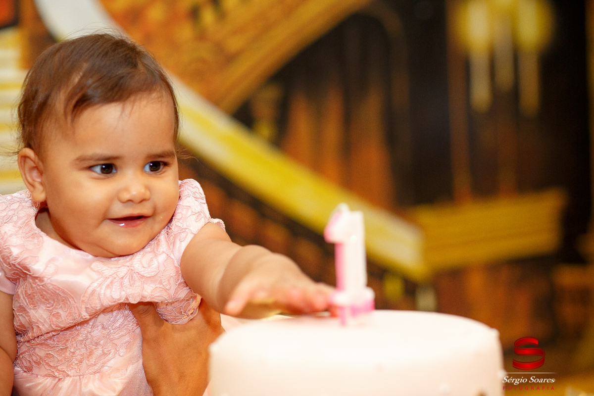 fotografia-fotos-fotografo-sergio-soares-aniversario-alphakids-aniver-valentina