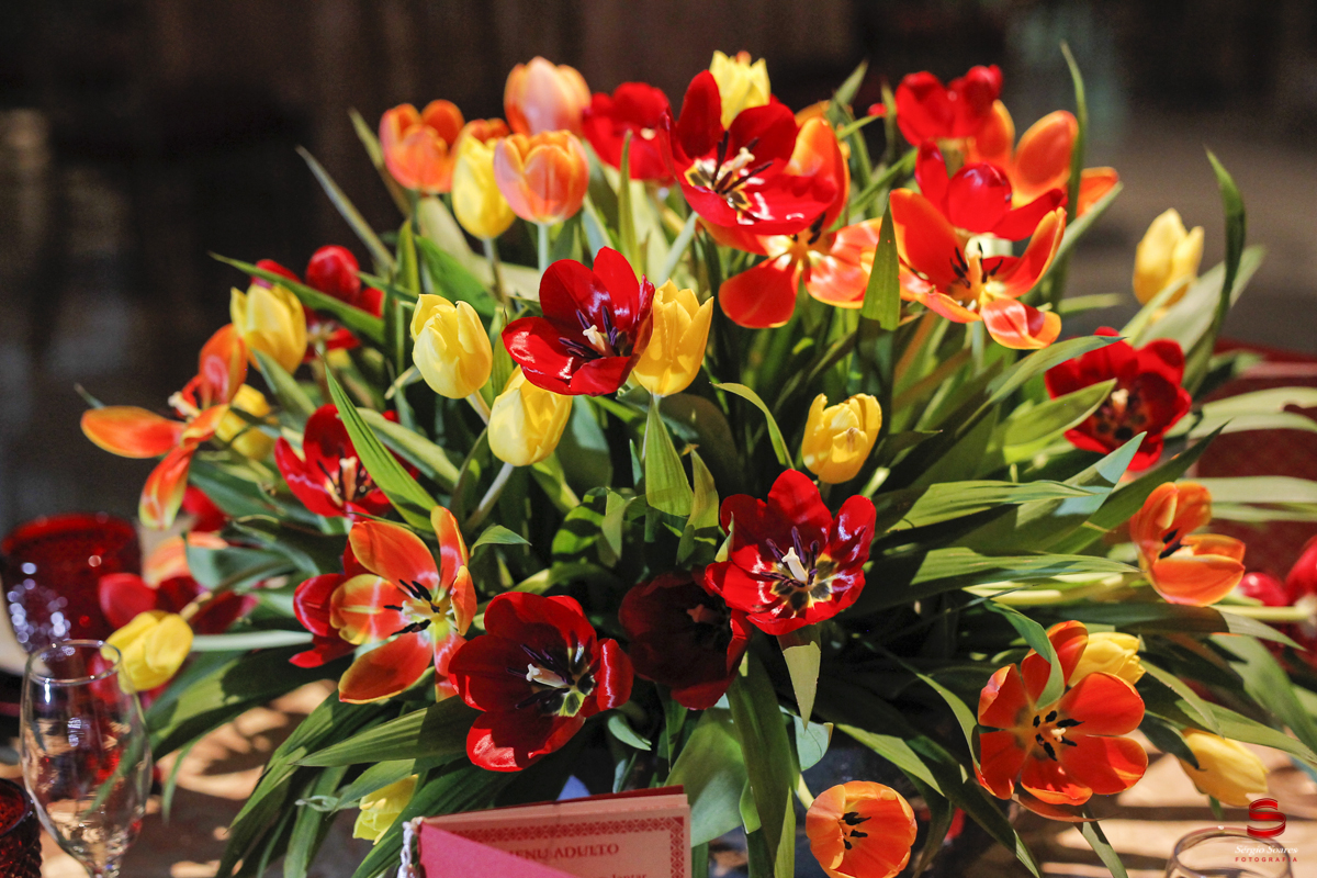 fotografo-fotografia-cuiaba-sergio-soares-15-anos-priscila-mc-delano