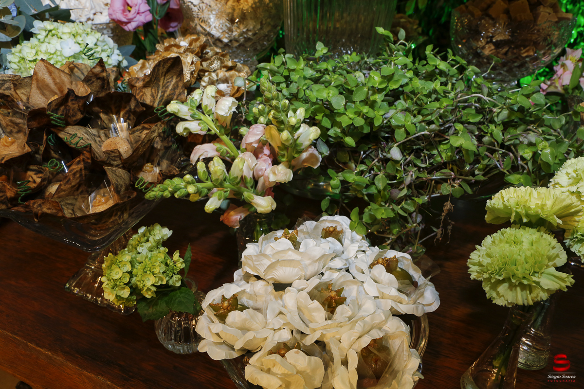 fotografo-cuiaba-fotografia-sergio-soares-site-casamento-civil-aletheia-kleverson-chapada-dos-guimaraes