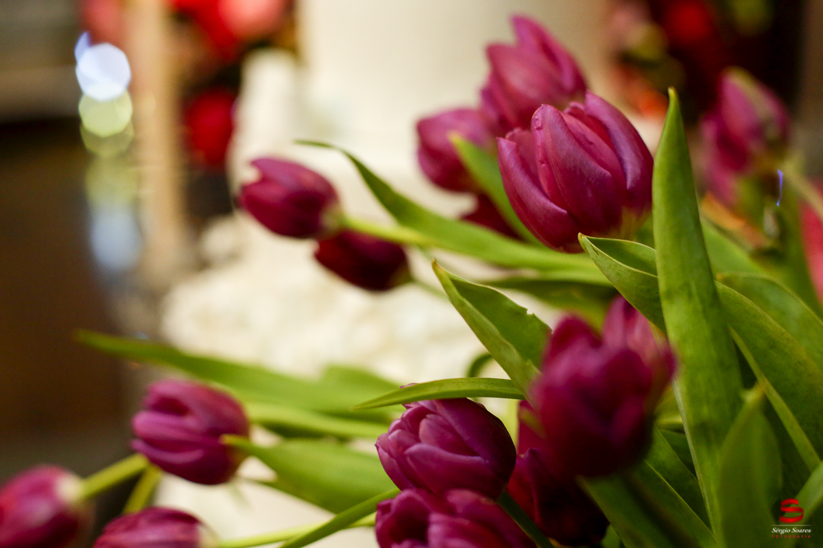 fotografia-fotografo-sergio-soares-aniversario-15-anos-giovanna