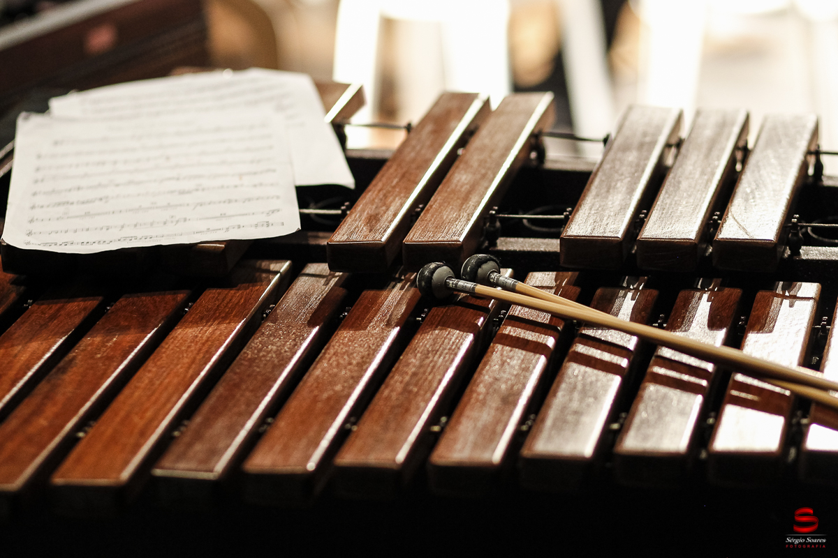 fotografo-fotografia-sergio-soares-evento-ciranda-orquestra-sinfonica