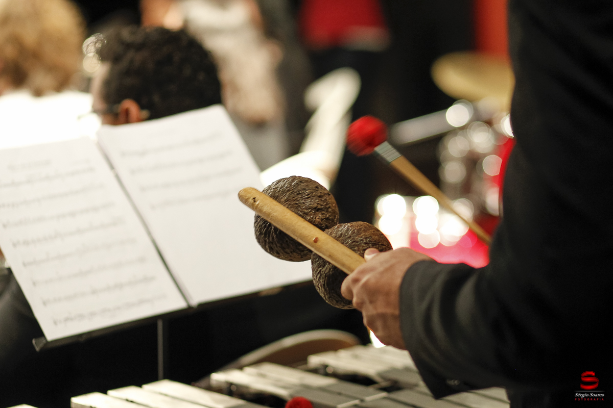 fotografo-fotografia-sergio-soares-evento-ciranda-orquestra-sinfonica