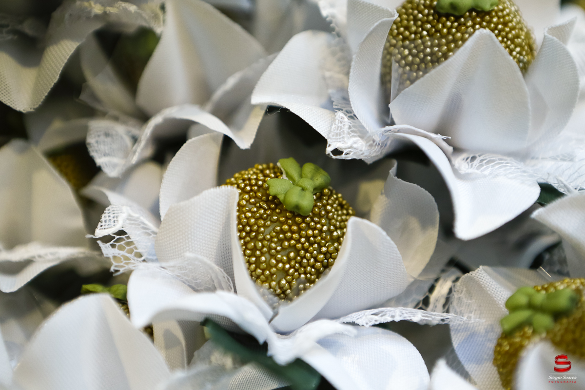 fotografo-fotografia-cuiaba-sergio-soares-casamento-sao-paulo-olivia-e-caio
