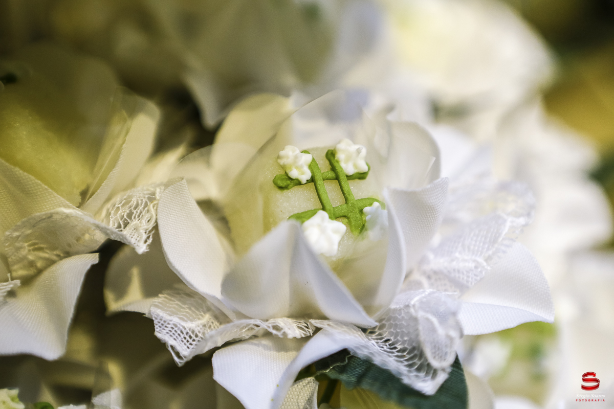 fotografo-fotografia-cuiaba-sergio-soares-casamento-sao-paulo-olivia-e-caio