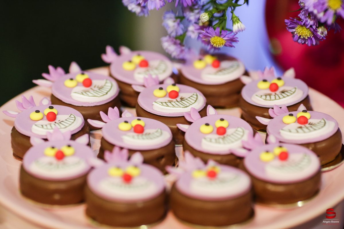 fotografo-cuiaba-fotografia-aniversario=joao-gabriel