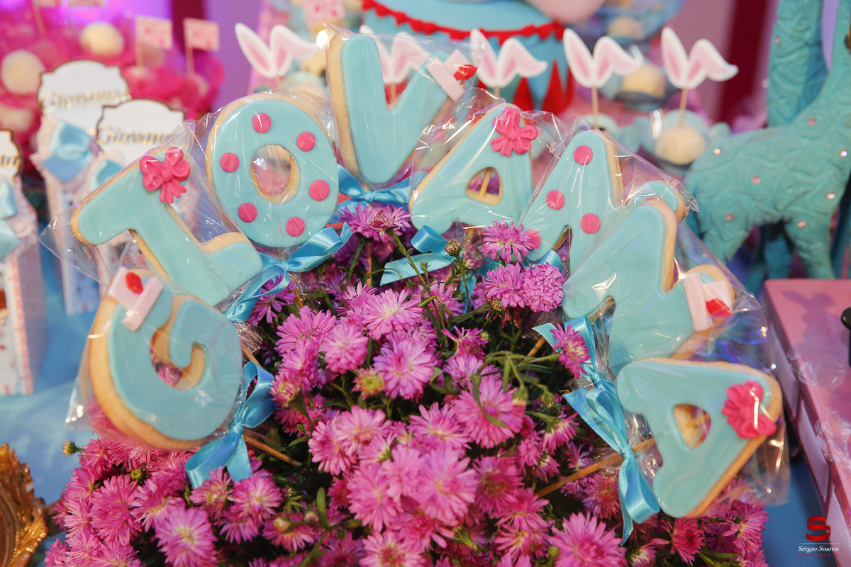 fotografo-cuiaba-fotografia-sergio-soares-aniversario-2-anos-giovanna