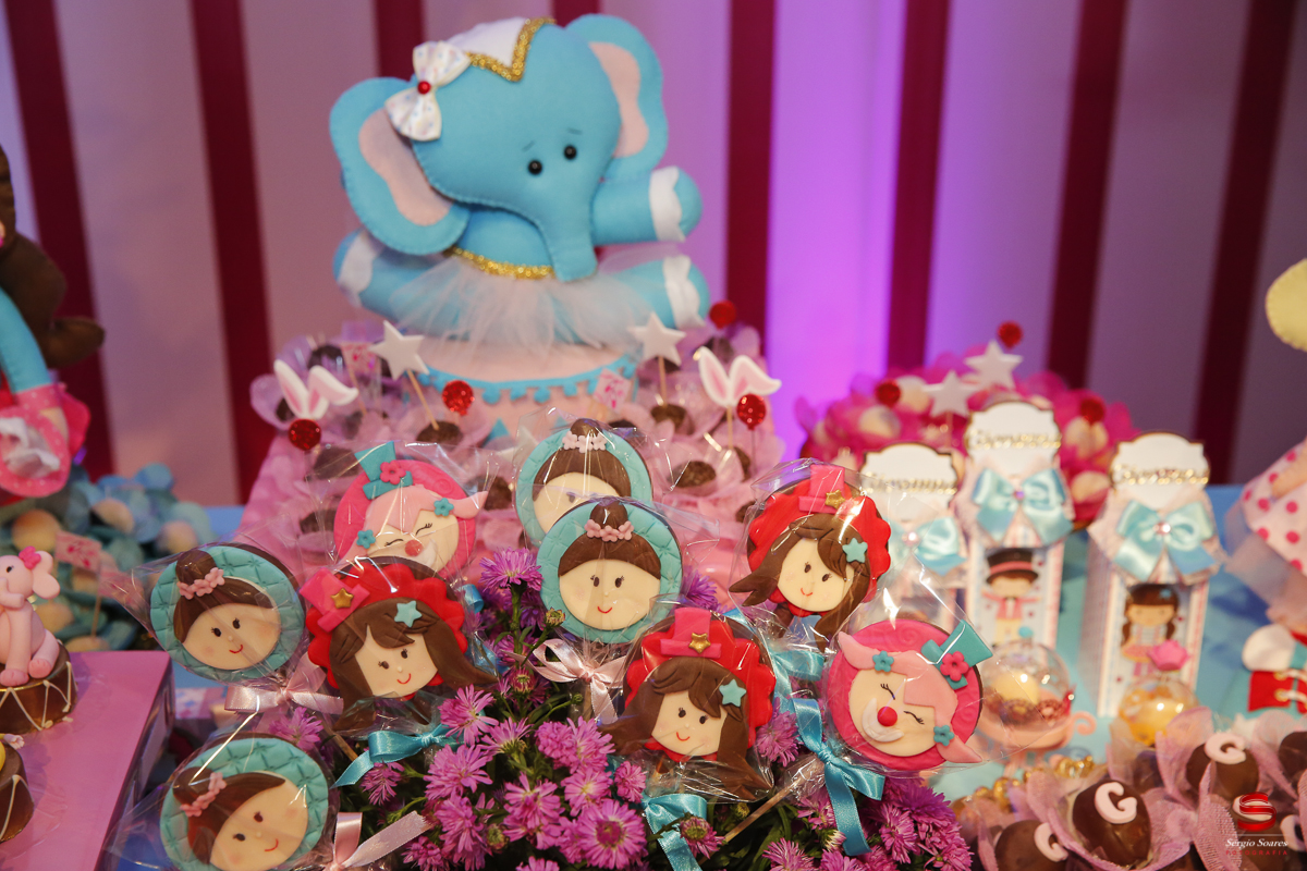 fotografo-cuiaba-fotografia-sergio-soares-aniversario-2-anos-giovanna