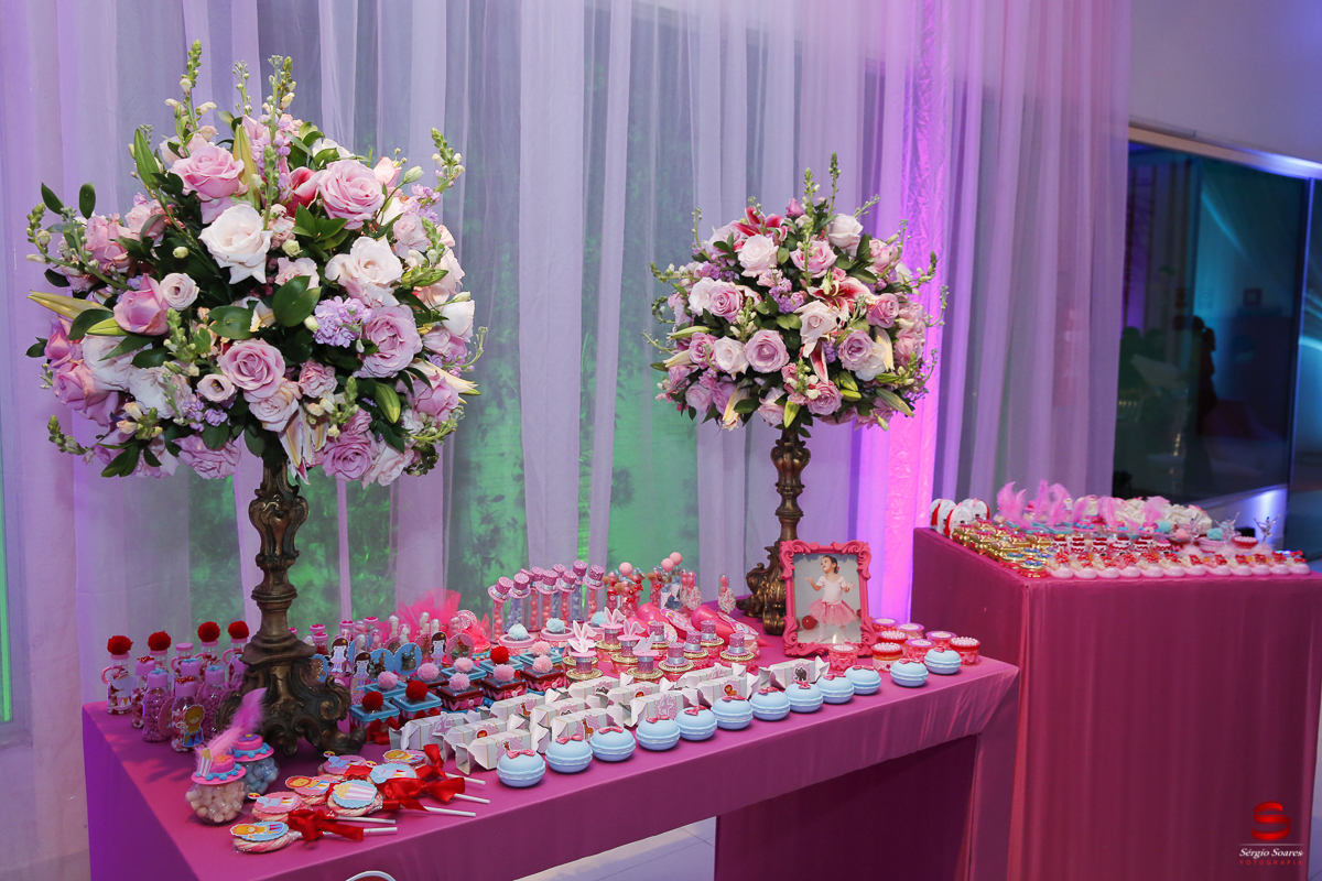 fotografo-cuiaba-fotografia-sergio-soares-aniversario-2-anos-giovanna