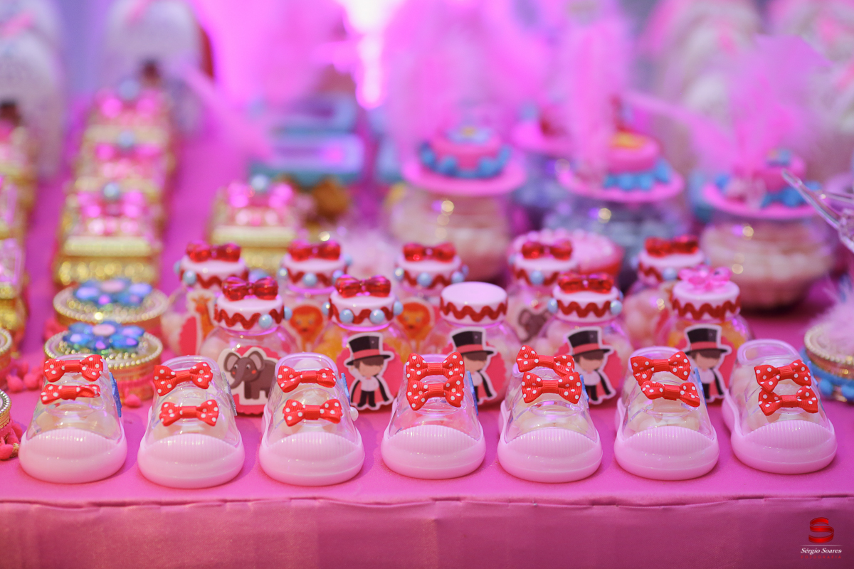 fotografo-cuiaba-fotografia-sergio-soares-aniversario-2-anos-giovanna