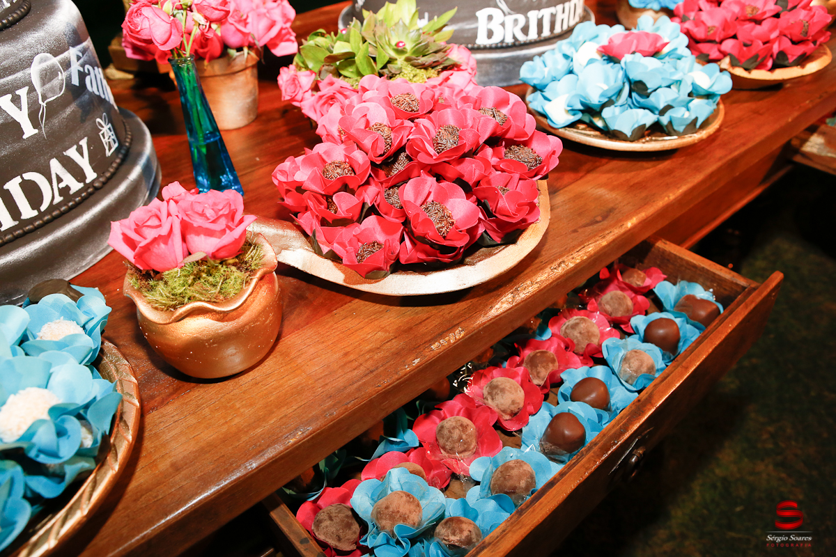 fografia-fotografo-cuiaba-sergiosoares-aniversario-maria-julha-dayla-leticia-bom-futuro-chacara