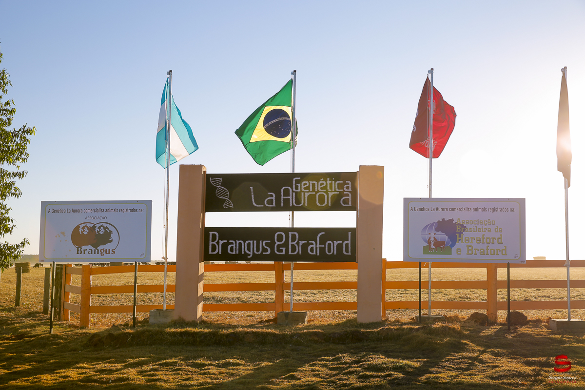 fotografo-fotografia-cuiaba-sergio-soares-eventos-leilao-mato-grosso-brasil-visionarios-gado-la-aurora-genetica