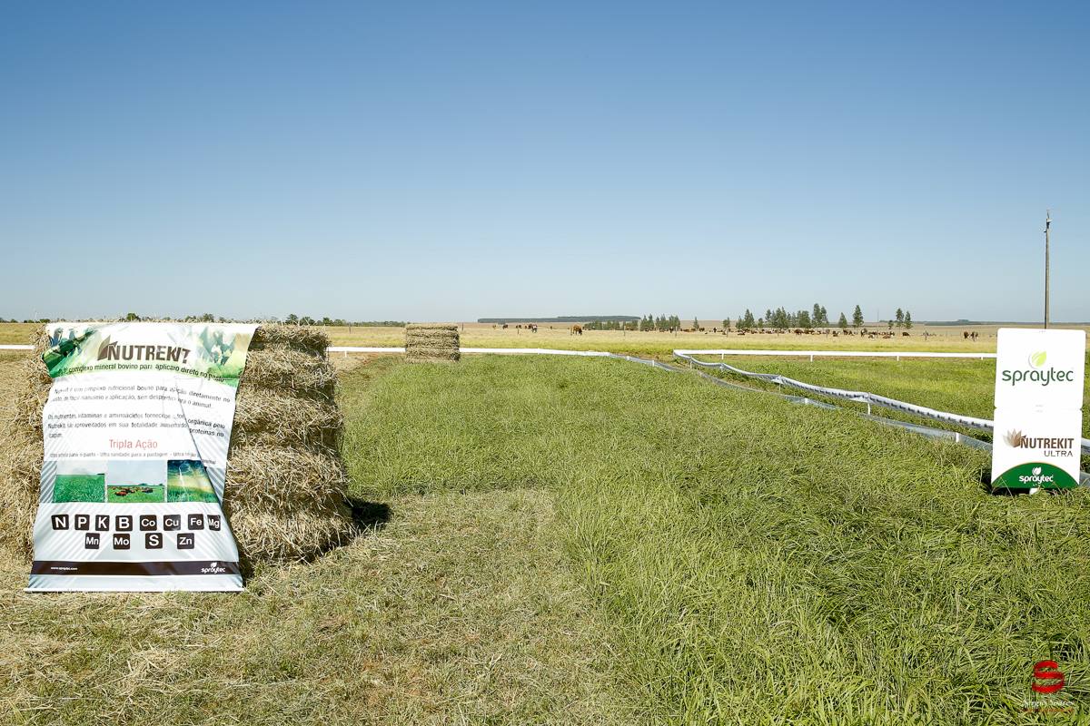 fotografo-fotografia-cuiaba-sergio-soares-eventos-leilao-mato-grosso-brasil-visionarios-gado-la-aurora-genetica