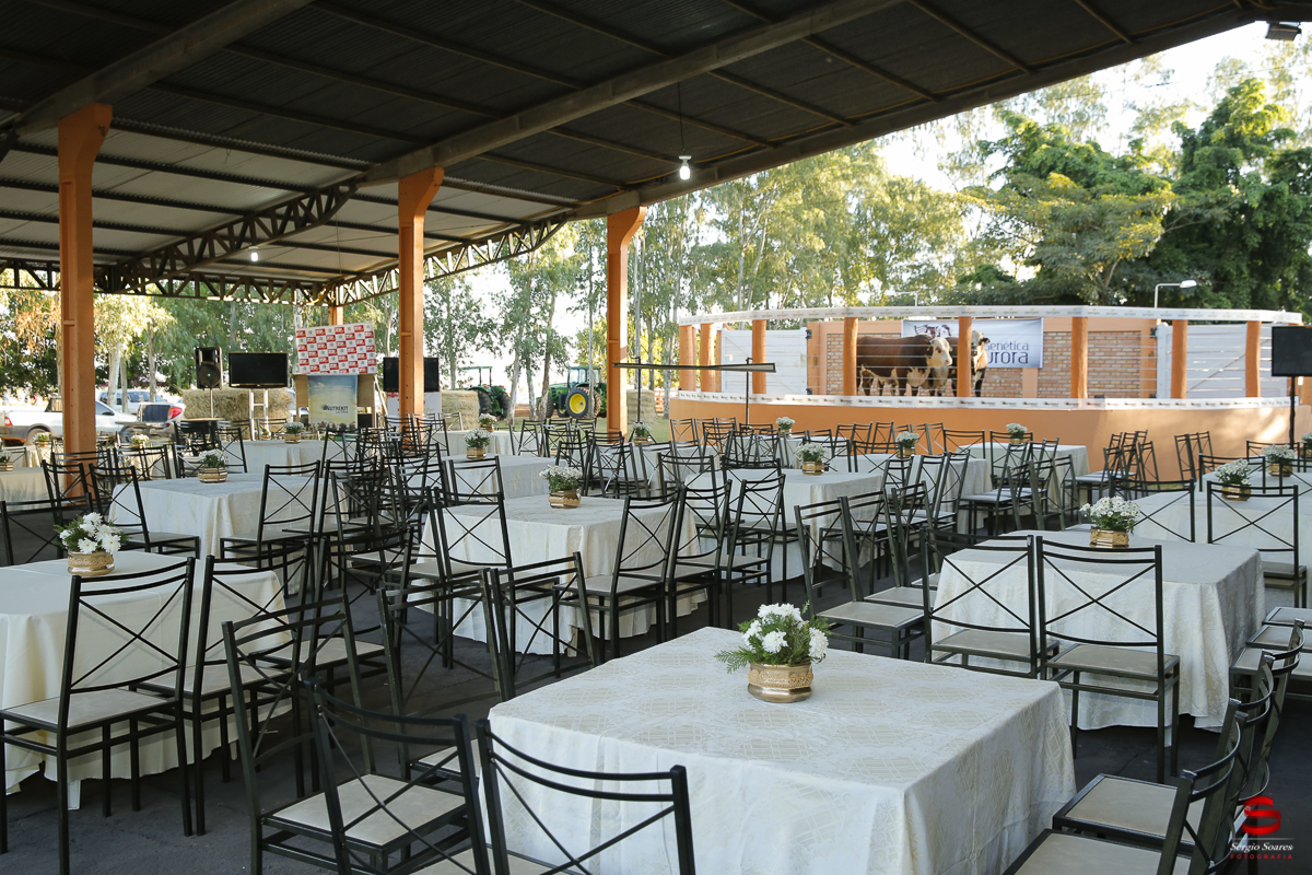 fotografo-fotografia-cuiaba-sergio-soares-eventos-leilao-mato-grosso-brasil-visionarios-gado-la-aurora-genetica