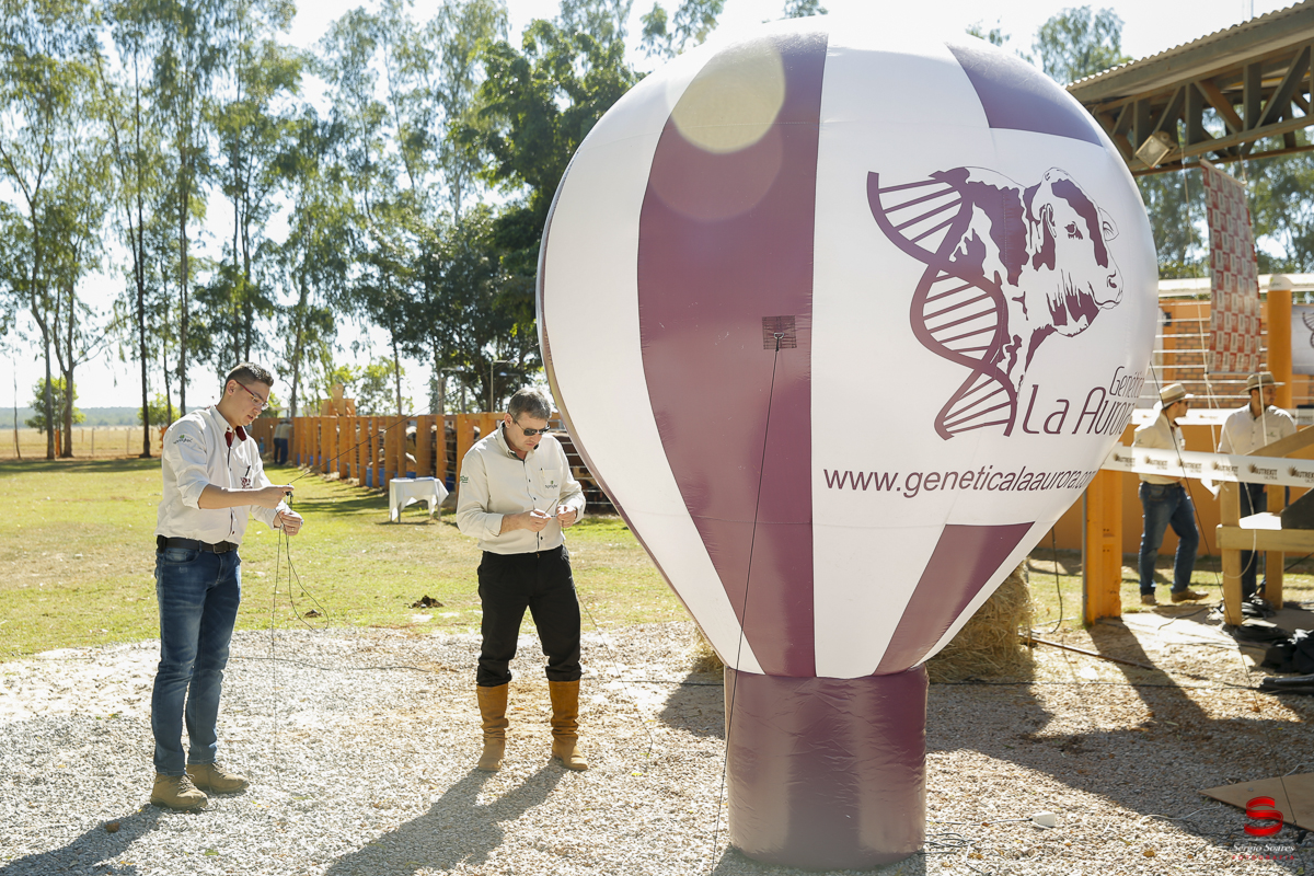 fotografo-fotografia-cuiaba-sergio-soares-eventos-leilao-mato-grosso-brasil-visionarios-gado-la-aurora-genetica