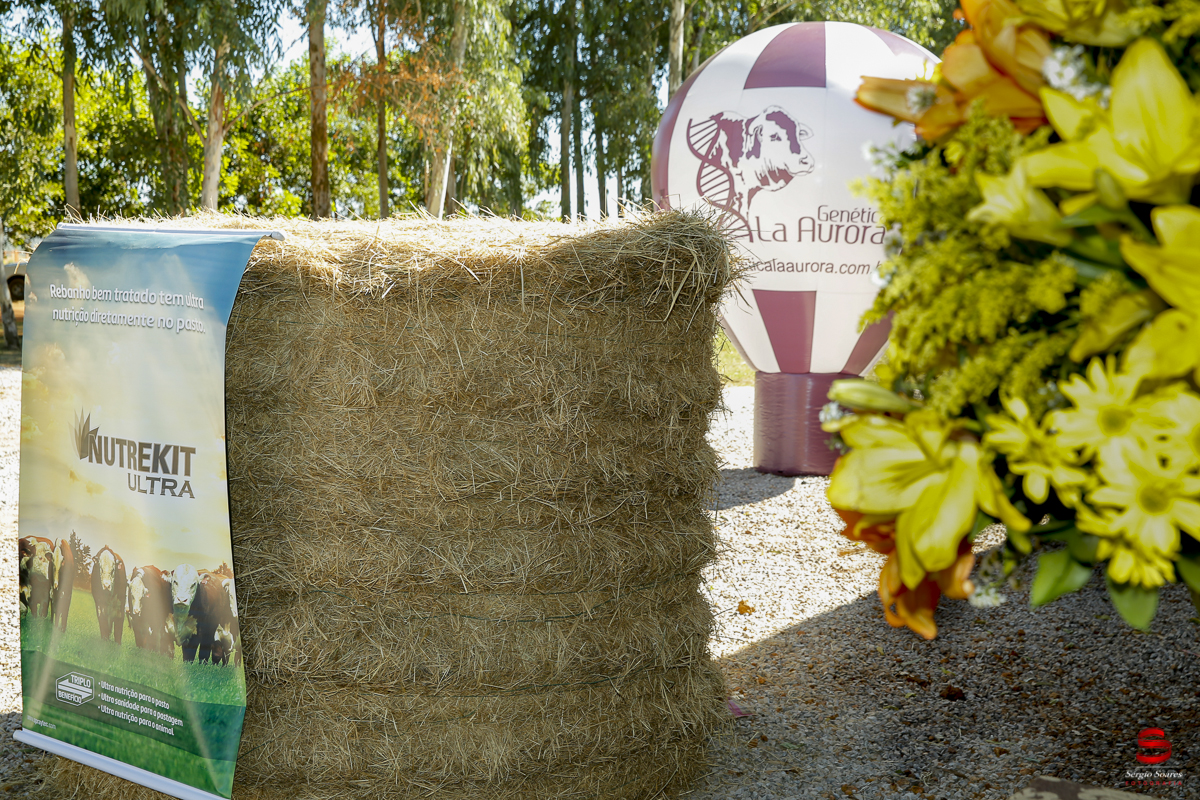 fotografo-fotografia-cuiaba-sergio-soares-eventos-leilao-mato-grosso-brasil-visionarios-gado-la-aurora-genetica