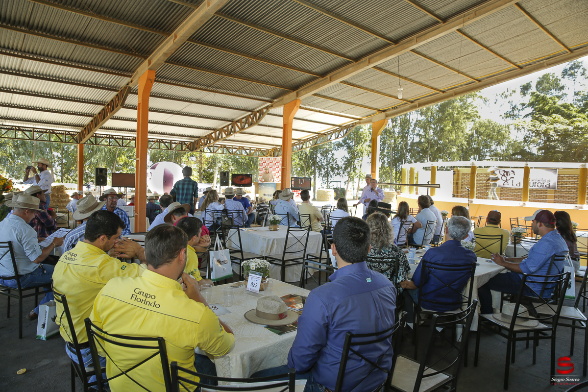 fotografo-fotografia-cuiaba-sergio-soares-eventos-leilao-mato-grosso-brasil-visionarios-gado-la-aurora-genetica