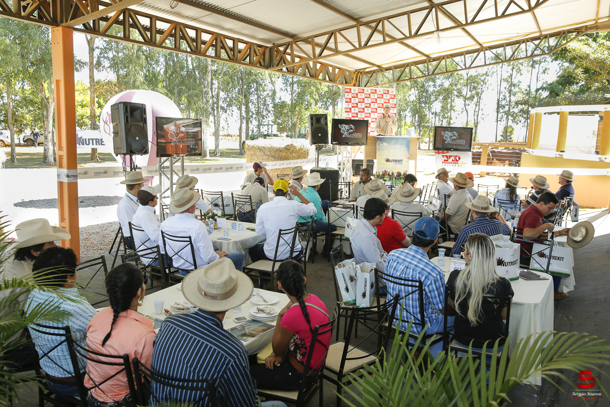 fotografo-fotografia-cuiaba-sergio-soares-eventos-leilao-mato-grosso-brasil-visionarios-gado-la-aurora-genetica
