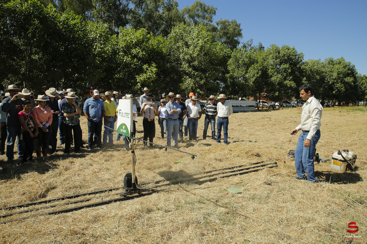 fotografo-fotografia-cuiaba-sergio-soares-eventos-leilao-mato-grosso-brasil-visionarios-gado-la-aurora-genetica