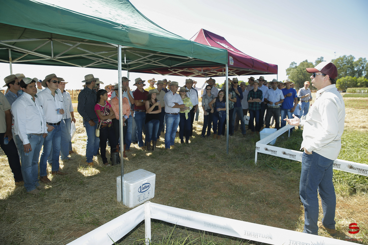 fotografo-fotografia-cuiaba-sergio-soares-eventos-leilao-mato-grosso-brasil-visionarios-gado-la-aurora-genetica