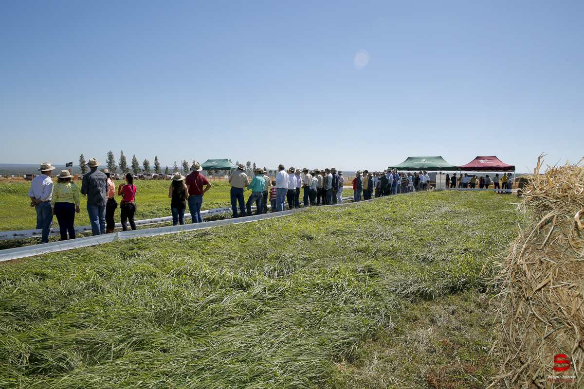 fotografo-fotografia-cuiaba-sergio-soares-eventos-leilao-mato-grosso-brasil-visionarios-gado-la-aurora-genetica