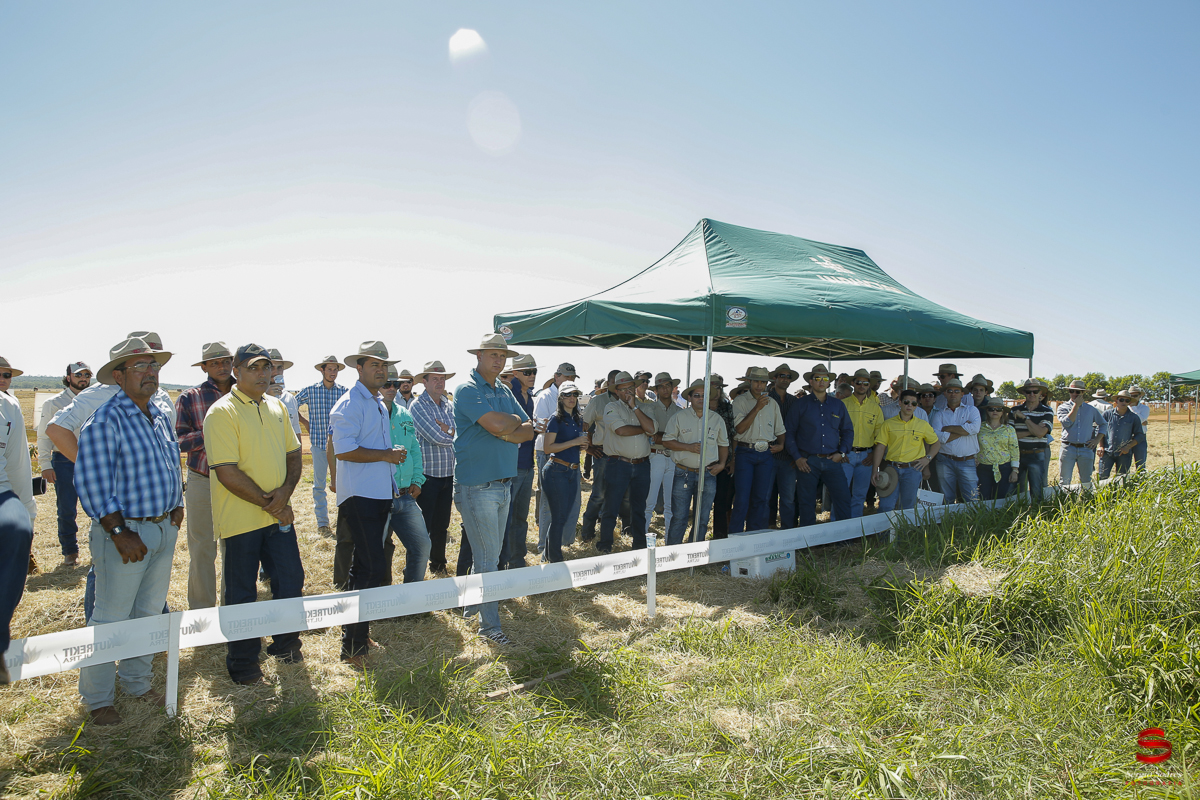 fotografo-fotografia-cuiaba-sergio-soares-eventos-leilao-mato-grosso-brasil-visionarios-gado-la-aurora-genetica
