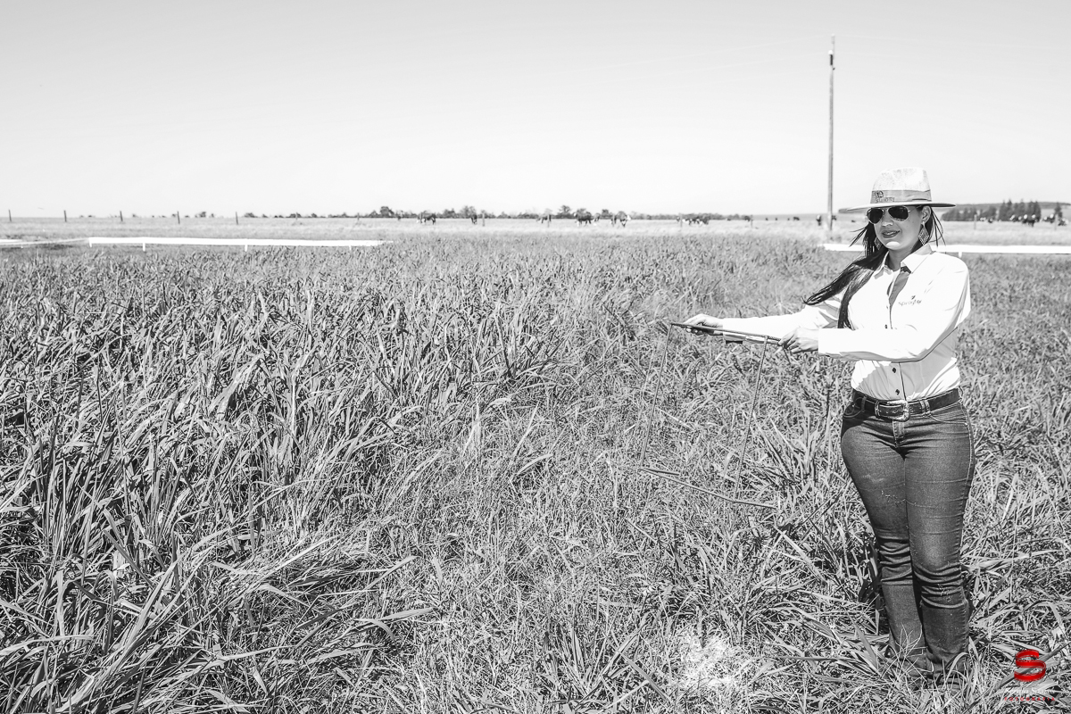 fotografo-fotografia-cuiaba-sergio-soares-eventos-leilao-mato-grosso-brasil-visionarios-gado-la-aurora-genetica