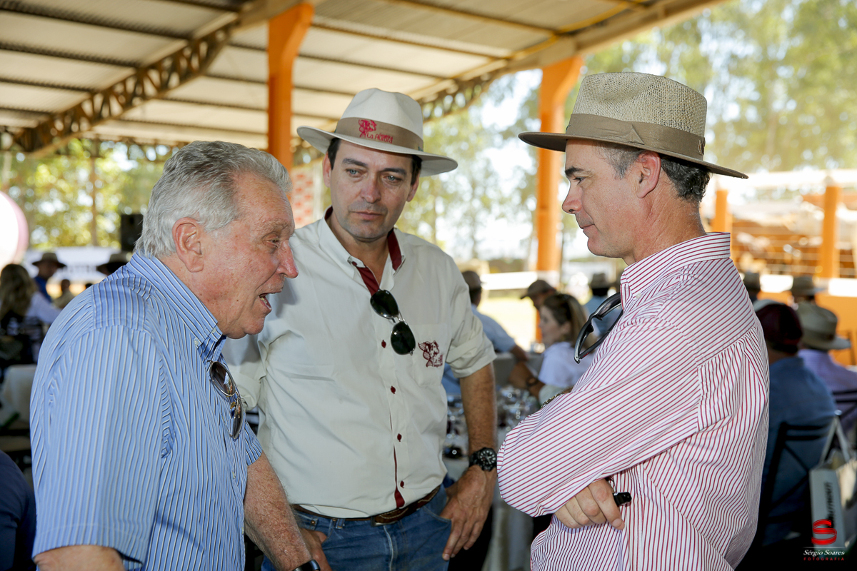 fotografo-fotografia-cuiaba-sergio-soares-eventos-leilao-mato-grosso-brasil-visionarios-gado-la-aurora-genetica
